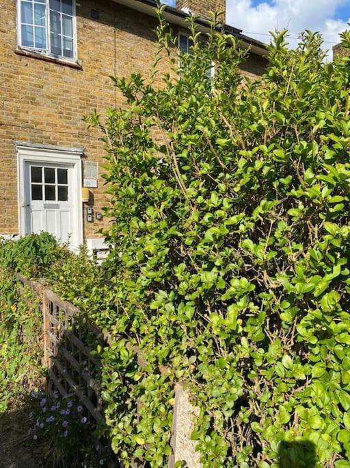 One Bedroom Putney Village Flat ロンドン エクステリア 写真